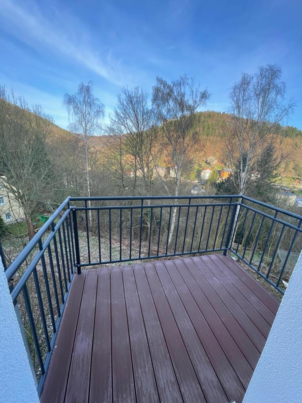 Haus Charlottenburg 3, Zentrumsnah Gelegen, Mit Blick Auf Festung, Mit Sauna Option Konigstein an der Elbe